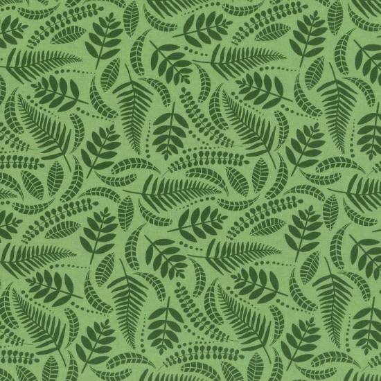 Fern Forest